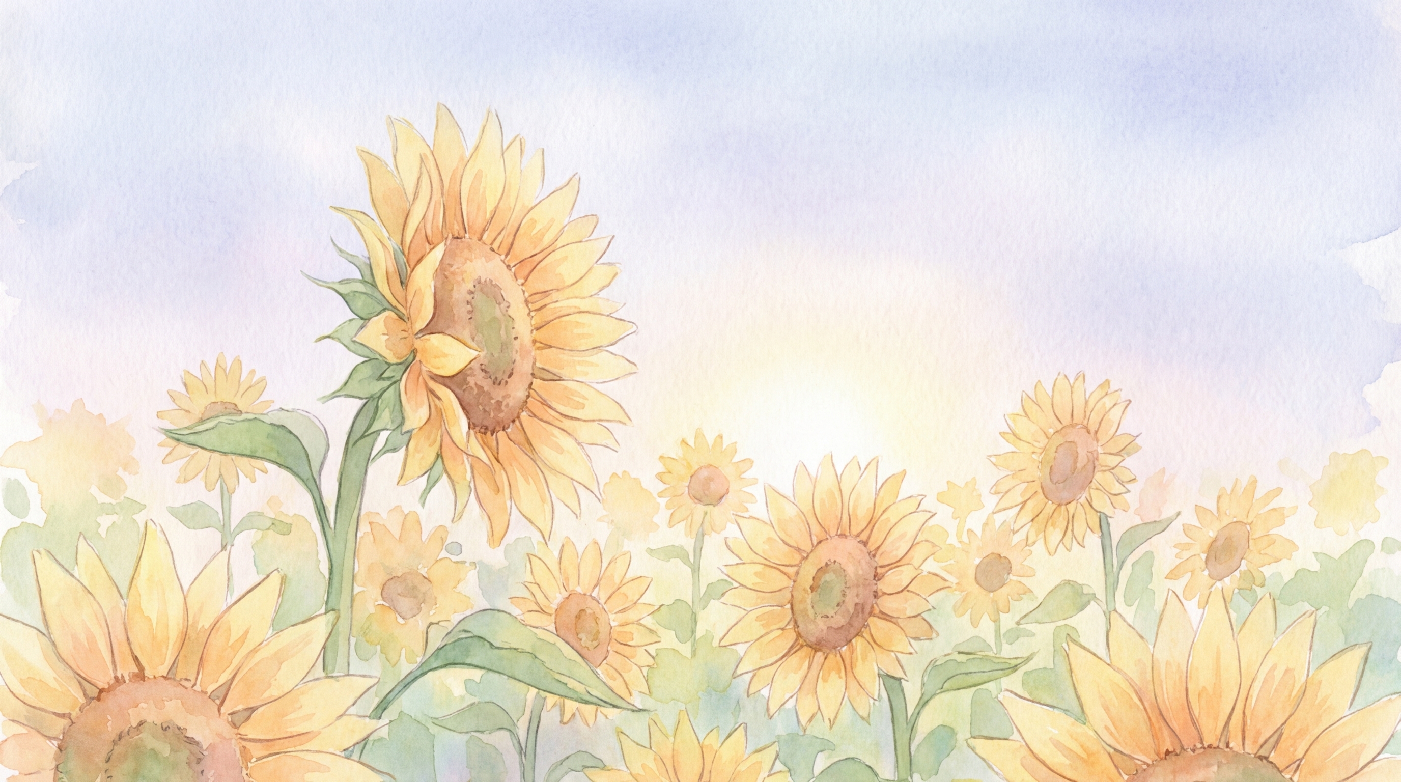 ひまわりの花言葉の由来は?「あなただけを見つめる」の意味と贈り方をご紹介!