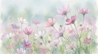 コスモスの花言葉と由来は？秩序と調和の名前の意味を完全ガイド！