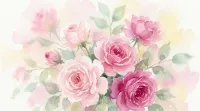 ピンクのバラ 花言葉 意味は？色の濃淡で変わる素敵な意味を完全ガイド！