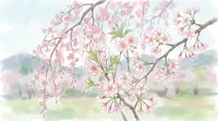 桜の花言葉は品種で違う？ソメイヨシノやしだれ桜の意味を完全ガイド！